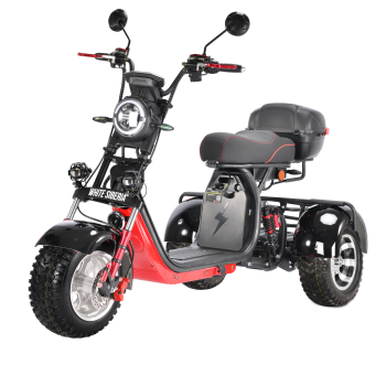 Трехколесный электроскутер CityCoco WHITE SIBERIA pro 3000W TRIKE+ offroad черный