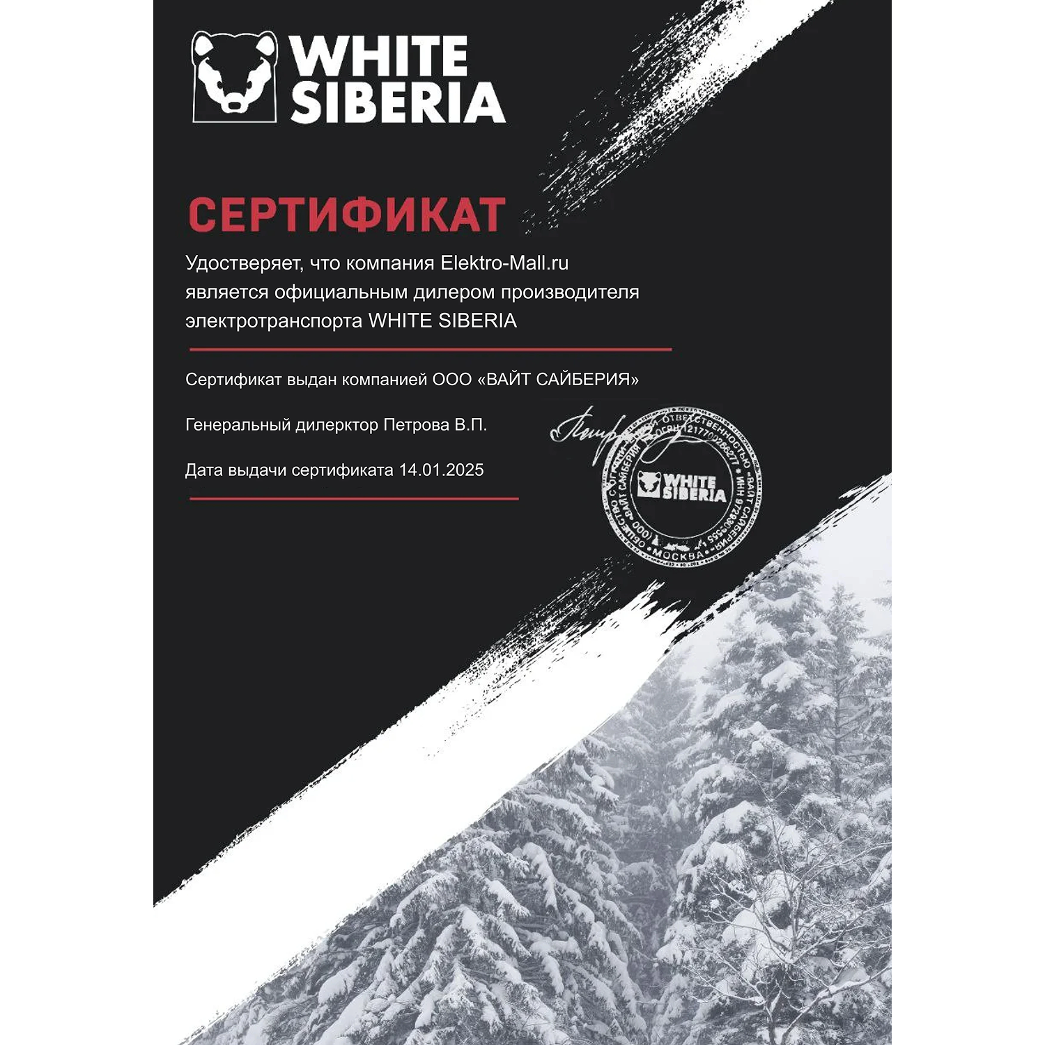 Электромотоцикл WHITE SIBERIA SOCHI 1300W 8 Электромотоцикл WHITE SIBERIA SOCHI 1300W 8