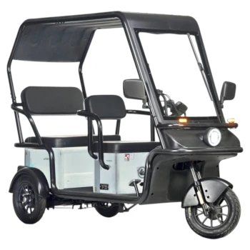 Электротрицикл Wanshida NIPLA 570 60V 1000Вт Зеленый
