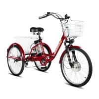 Электровелосипед РВЗ Чемпион 250W 10Ah красный складной